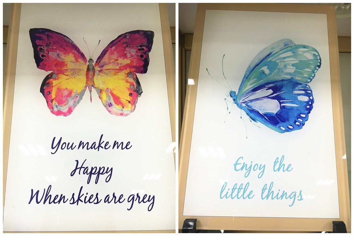 Die Funktion des Glas UV-Drucker